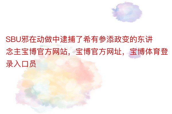 SBU邪在动做中逮捕了希有参添政变的东讲念主宝博官方网站，宝博官方网址，宝博体育登录入口员