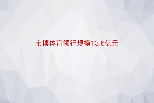 宝博体育领行规模13.6亿元