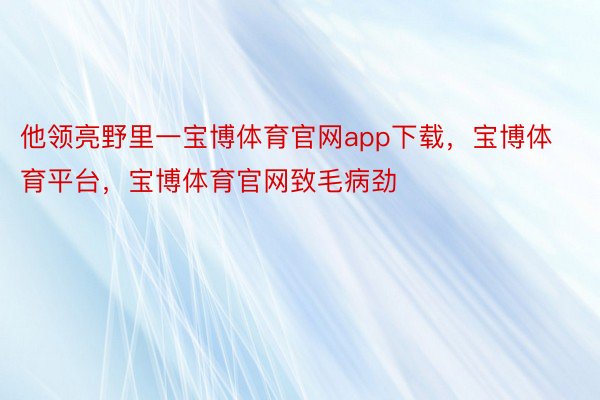 他领亮野里一宝博体育官网app下载，宝博体育平台，宝博体育官网致毛病劲